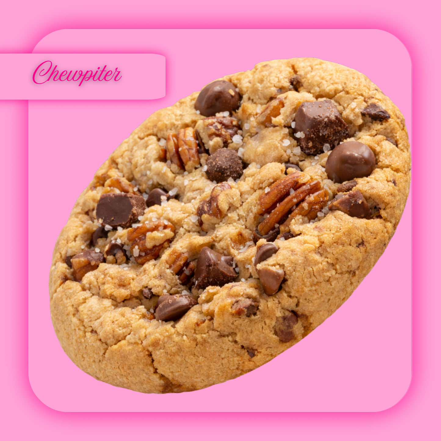 'CHEWPITER' FUDGE , PECAN AND BELGIAN CHOCOLATE COOKIE
