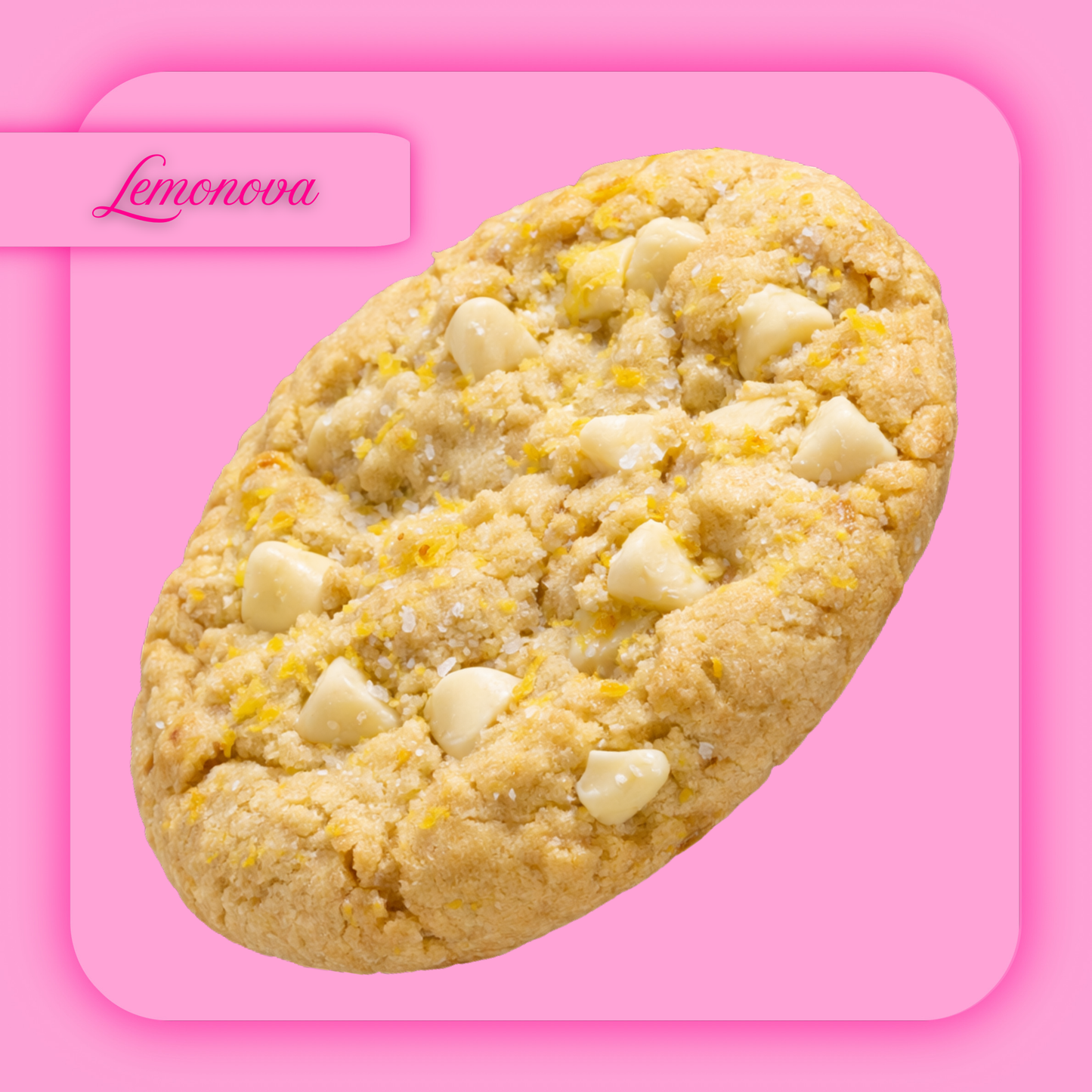 'LEMONOVA' SILICAN LEMON + WHITE CHOCOLATE COOKIE